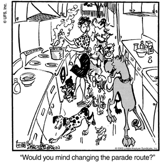 marmaduke